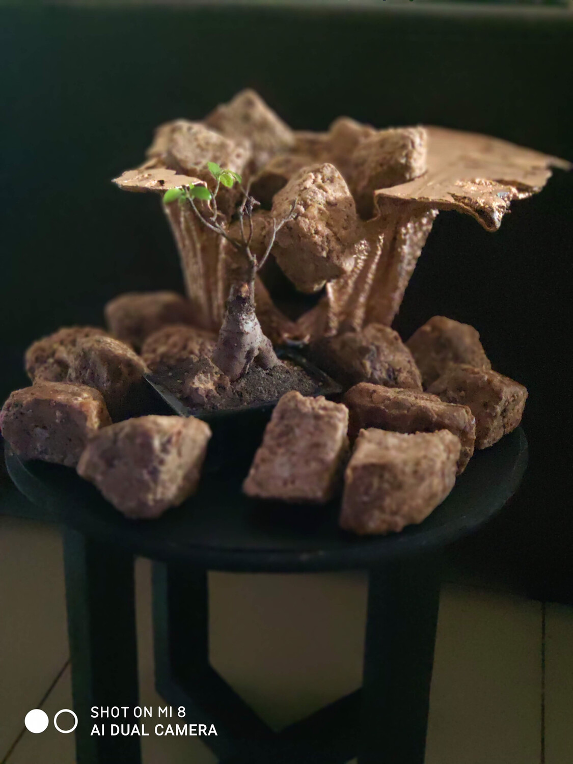 African Black Soap