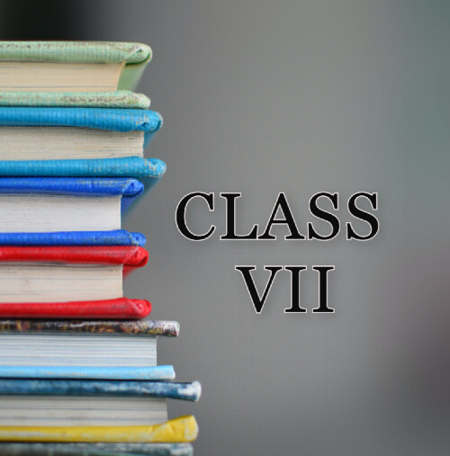 Class VII