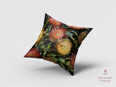 Scatter Cushion - Pincushion proteas Scatter Cushion - Pincushion proteas