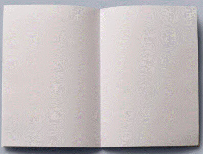 Instruction book pages (or other documents) printed on A4 sheets. Priced per physical page.