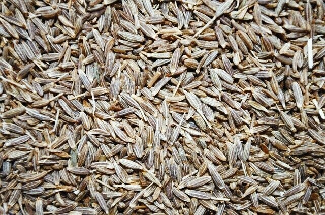 CUMIN POUDRE 100 G