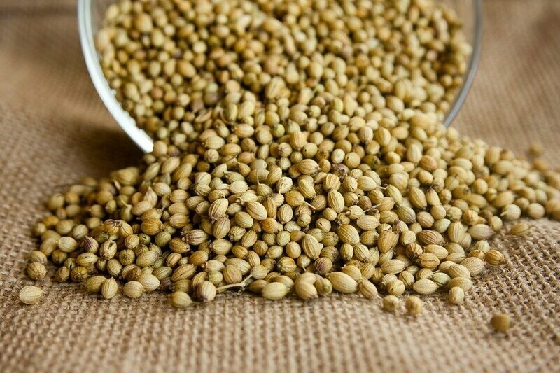 CORIANDRE GRAINE SACHET DE 100 G