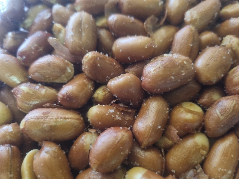 CACAHUETE DE COMPTOIR 500GR