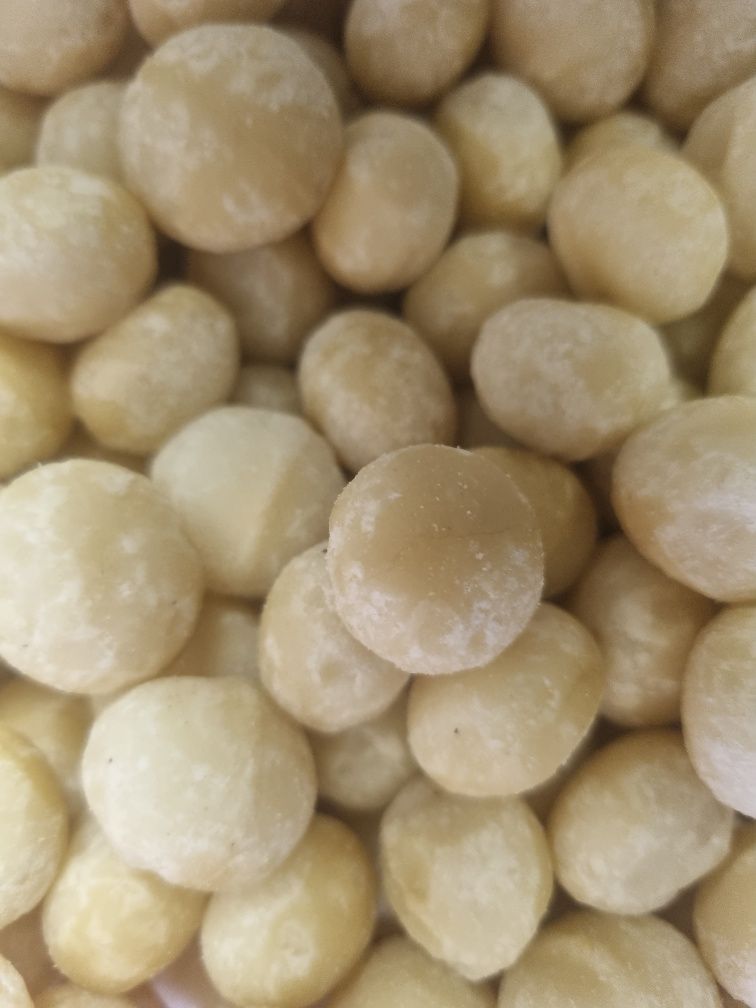 NOIX DE MACADAMIA 200GR