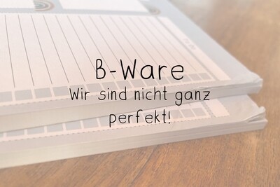 B-Ware: Block Tagesplanung DIN A4 blau B-Ware: Block Tagesplanung DIN A4 blau