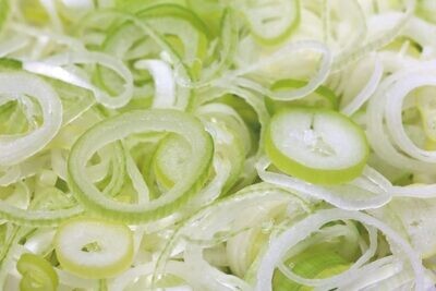 Professional Scallion Cutter SENPU