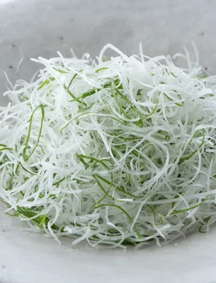 Professional Scallion Slicer