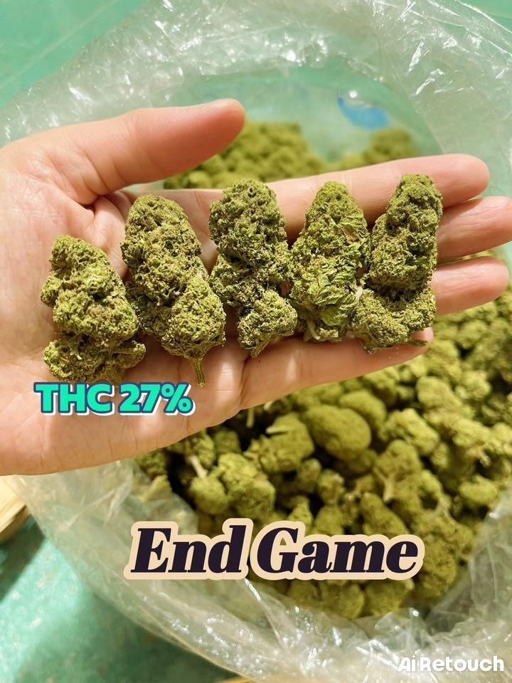 End Game