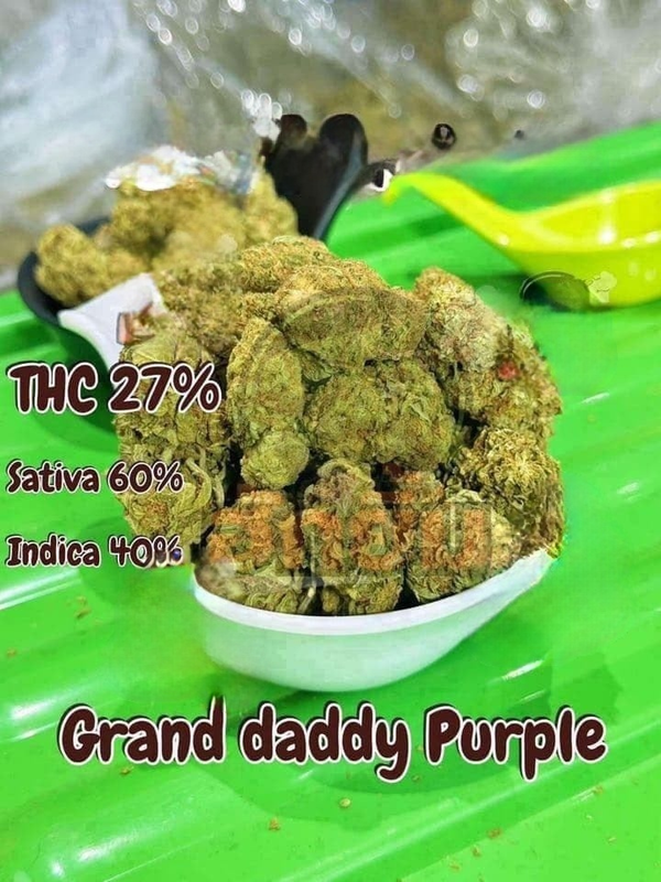 Grand Daddy Purple