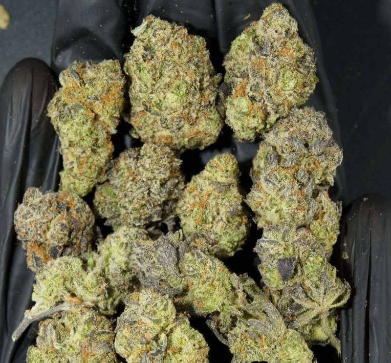 White Kush