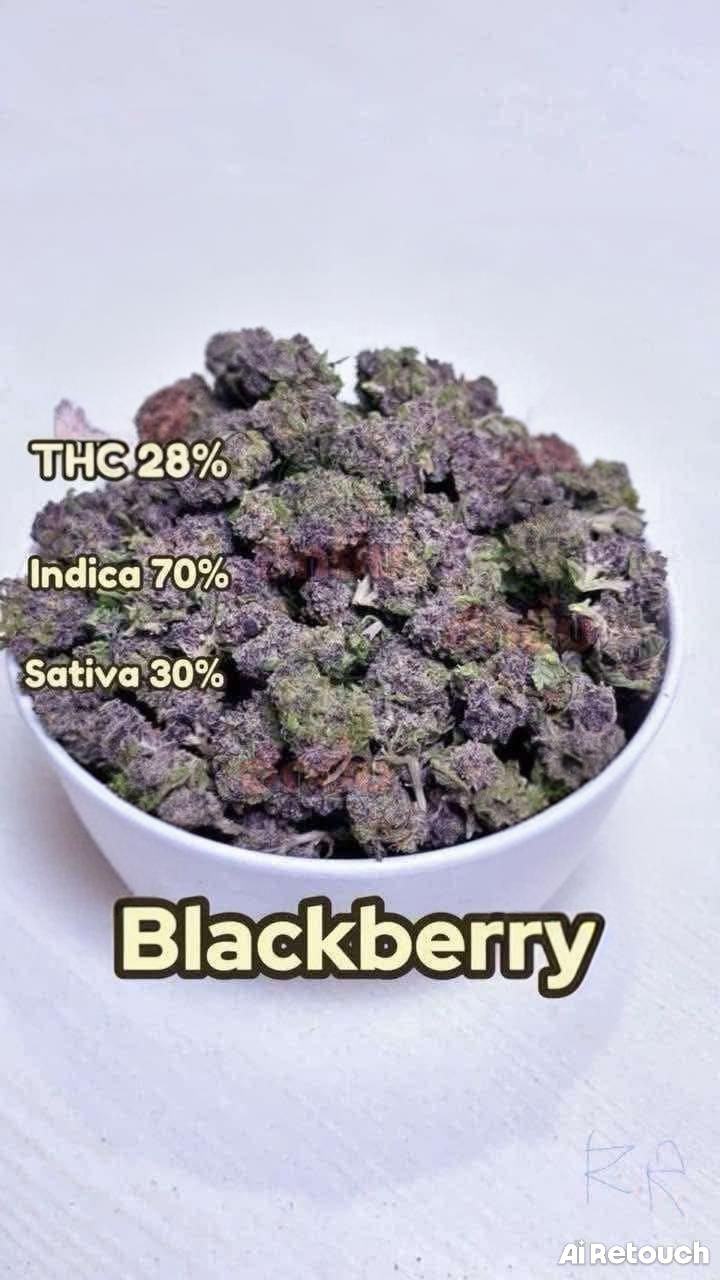 Blackberry