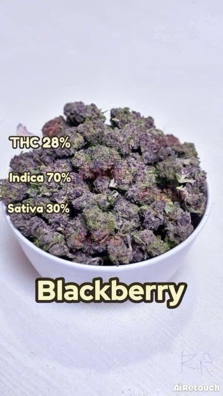 Blackberry
