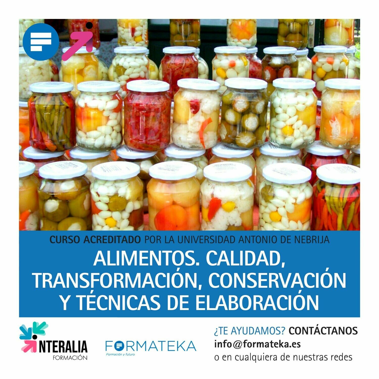 Alimentos. Calidad, Transformación, conservación y técnicas de elaboración - 100 Horas - 4 Créditos CFC