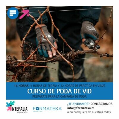 Curso de poda de vid (en La Rioja) Curso de poda de vid (en La Rioja)