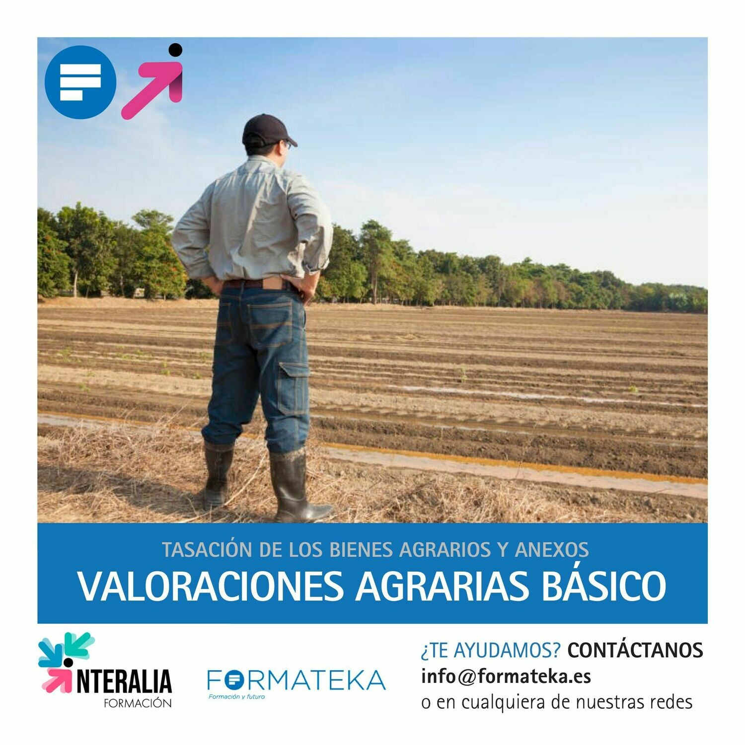Curso online de Valoraciones Agrarias básico (20 Horas)