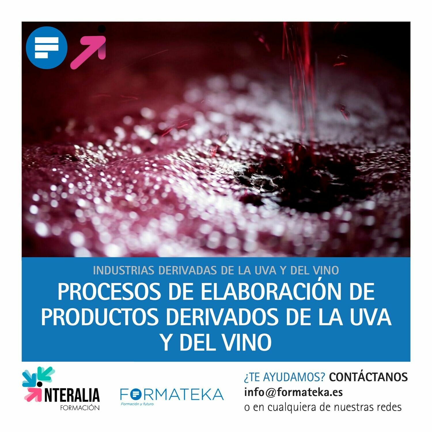 Procesos de elaboración de productos derivados de la uva y del vino (20 Horas)