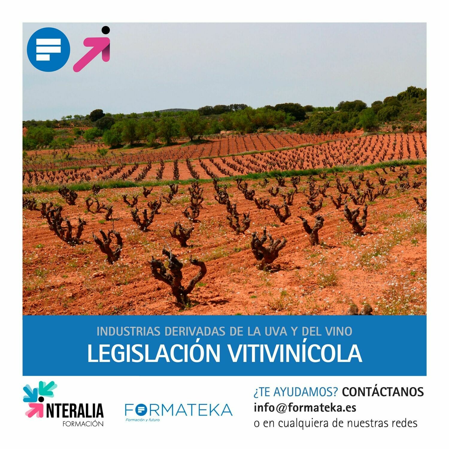 Legislación vitivinícola (20 Horas)
