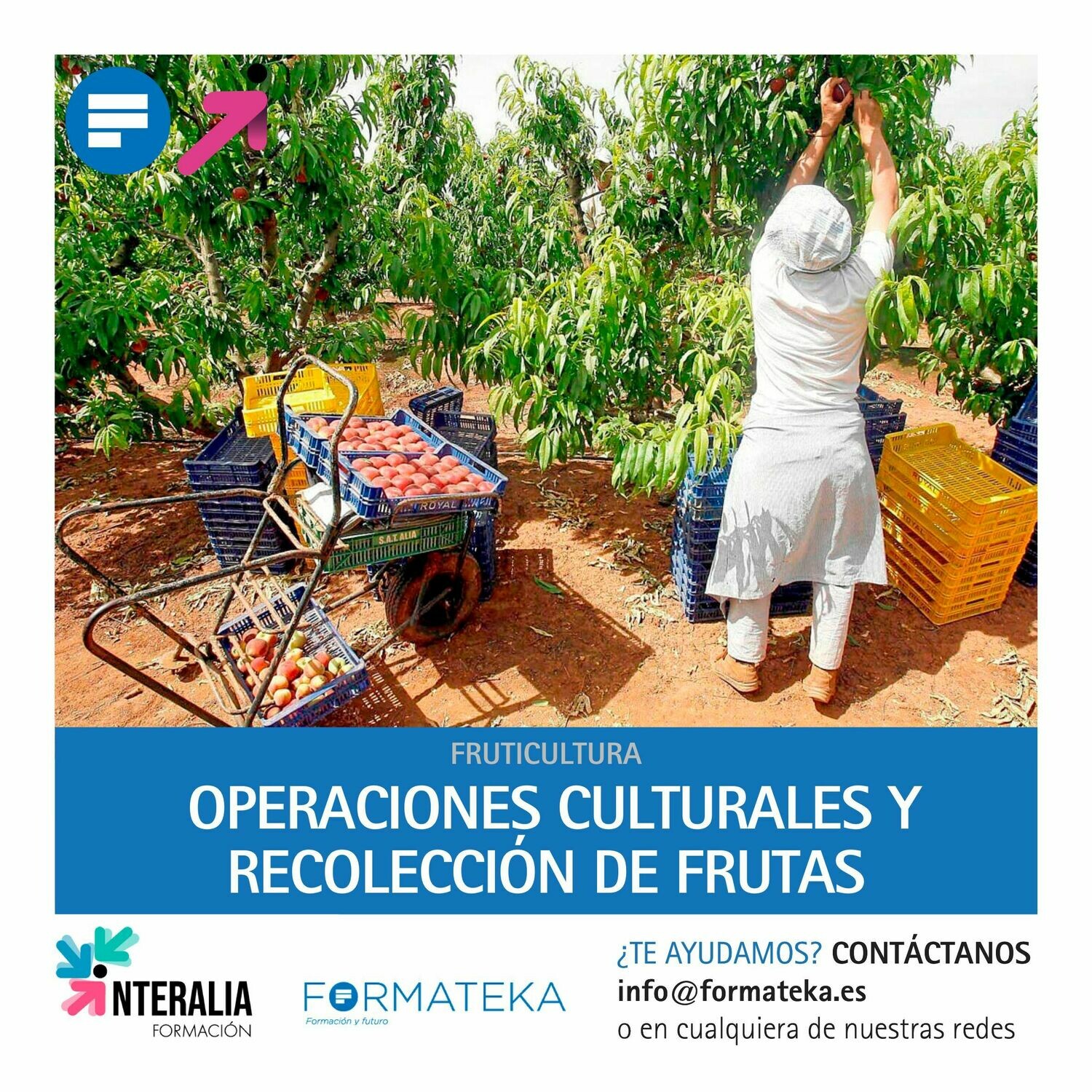 Operaciones culturales y recolección de frutas (60 Horas)