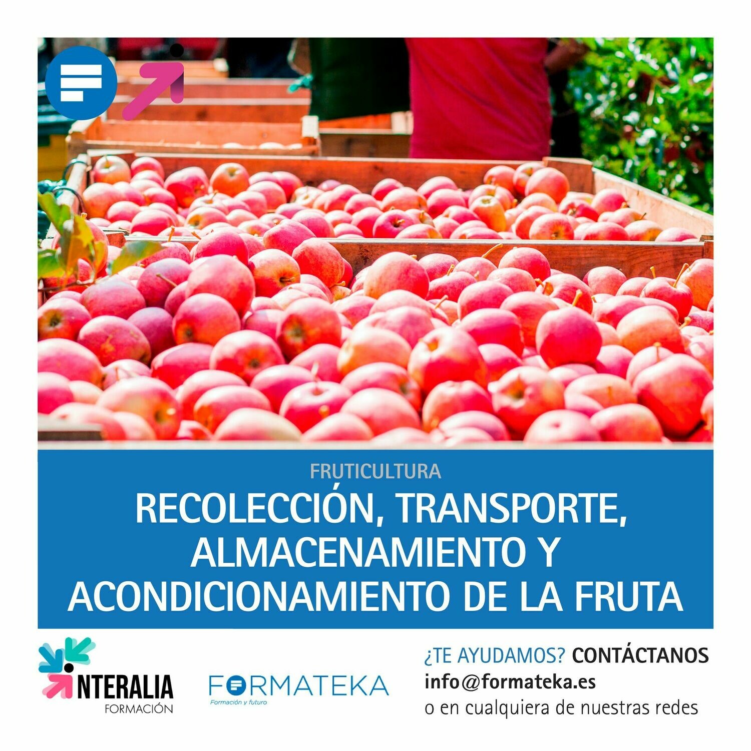 Recolección, transporte, almacenamiento y acondicionamiento de la fruta (20 Horas)