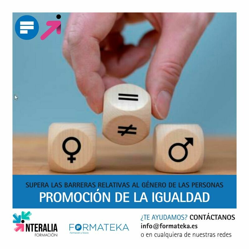 Promoción de la igualdad (30 Horas)
