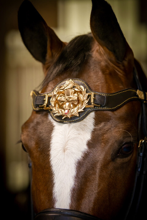 Frontal Collection CADRE NOIR biloejoailleriemontecarlo@gmail.com