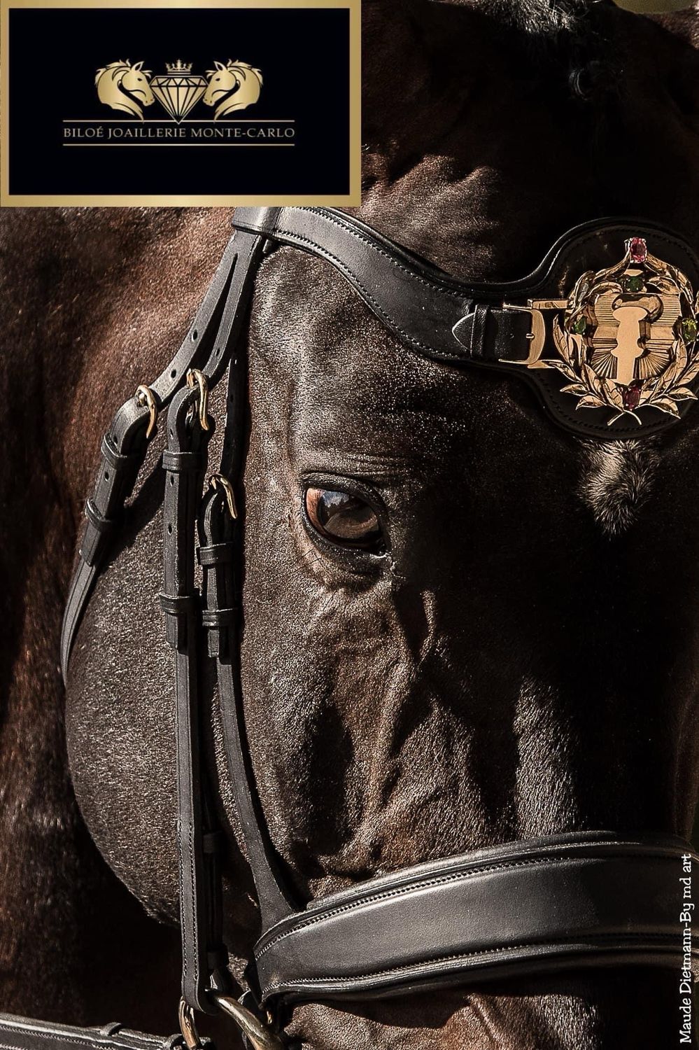 Frontal uniquement sur mesure Escalier en fer à cheval