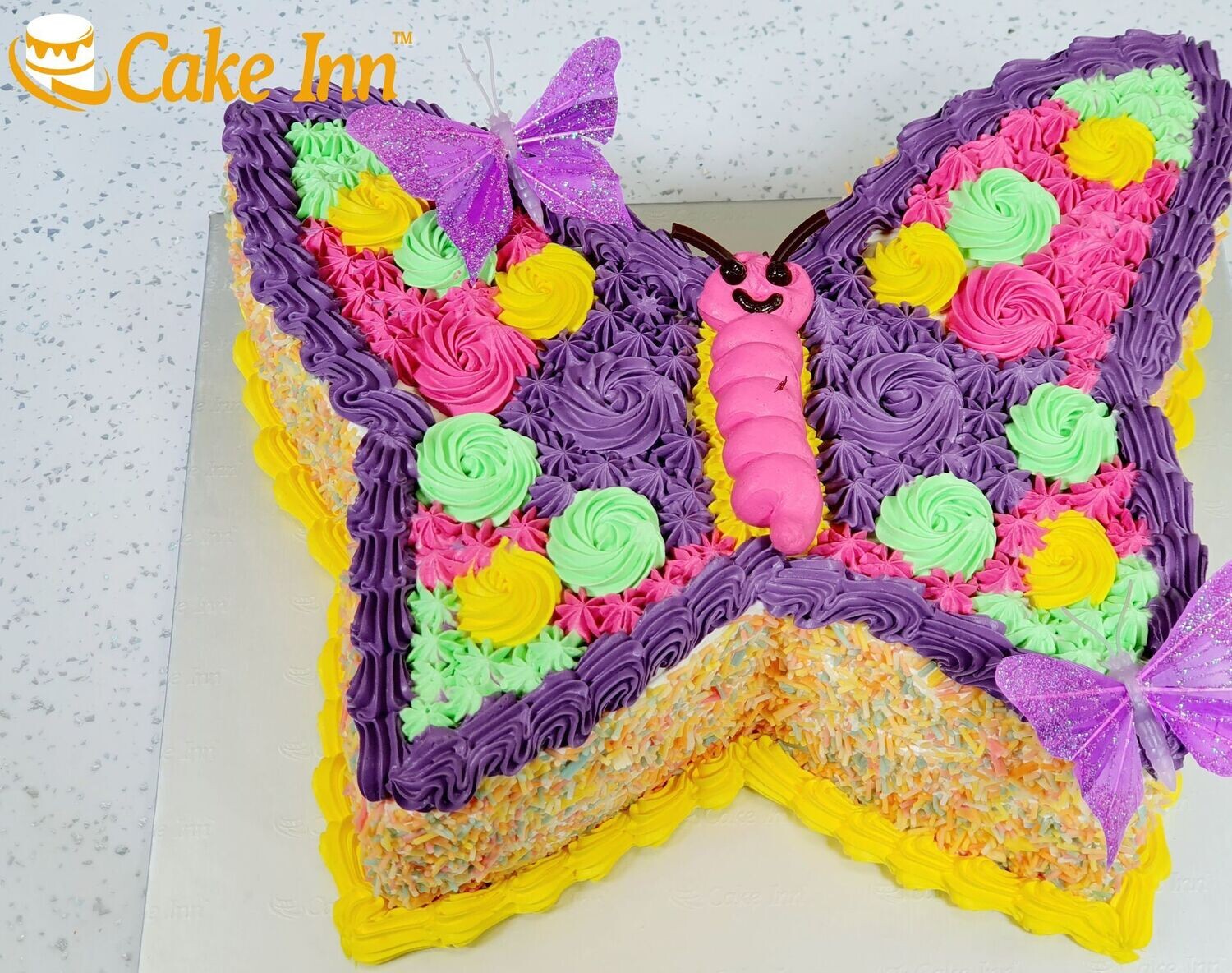 Rainbow Butterfly Cake