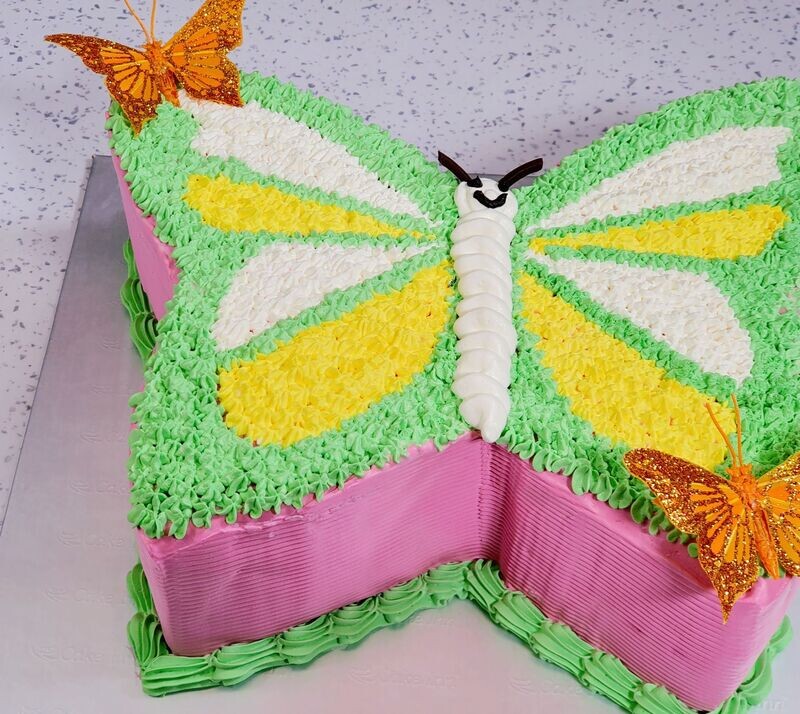 Pink Green Butterfly Cake