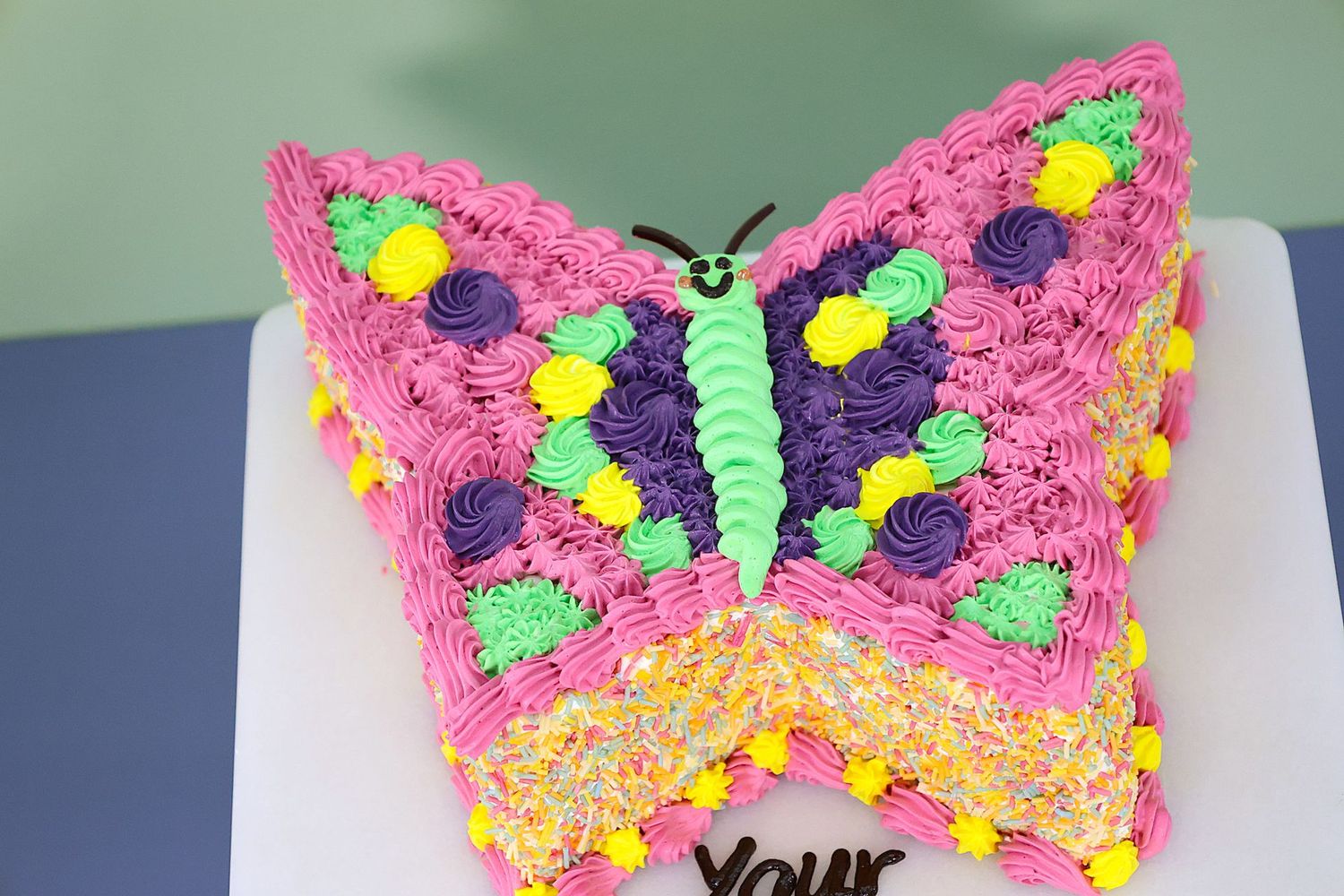 Rainbow Butterfly Cake