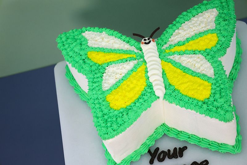 Pink Green Butterfly Cake