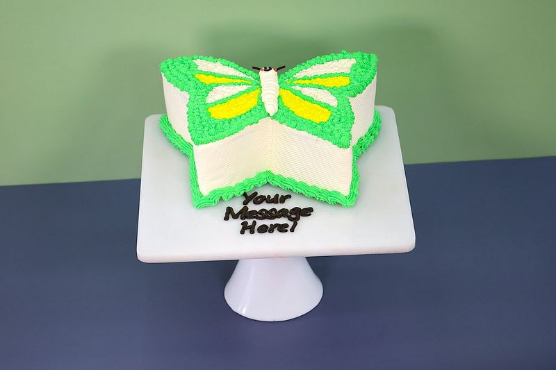 Pink Green Butterfly Cake