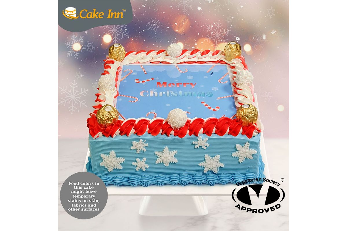 Christmas Winter Wonderland Cake