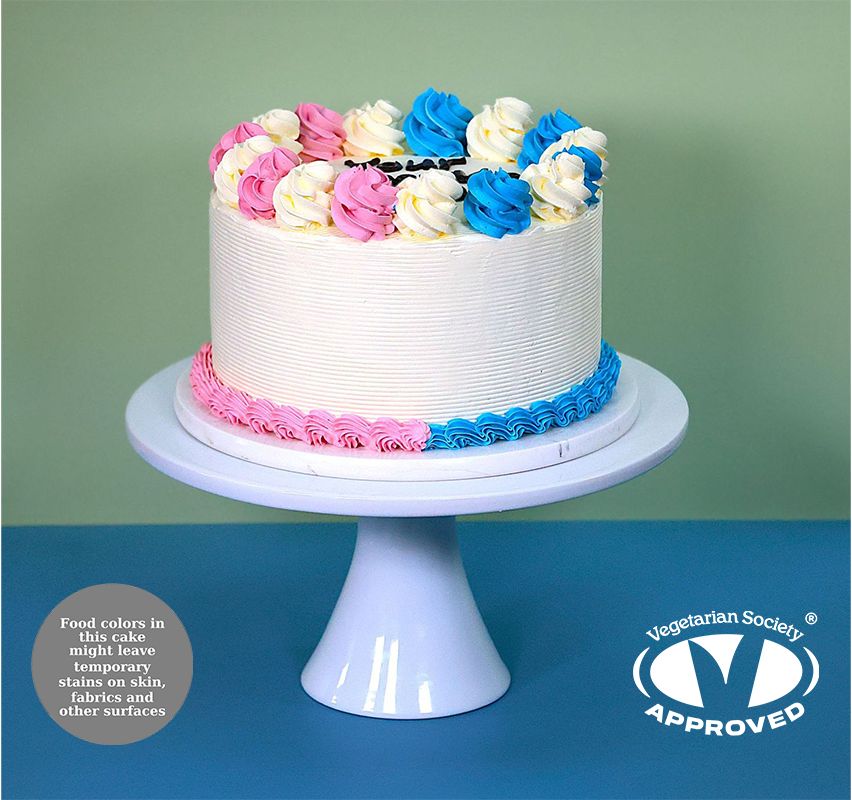 Gender Reveal Baby Shower Cake