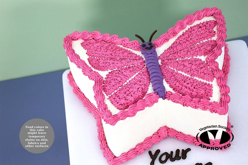 Stunning Pink Butterfly Cake
