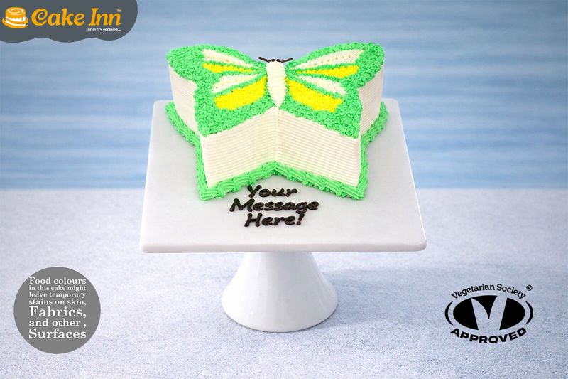 Pink Green Butterfly Cake