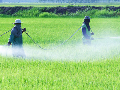 INSECTICIDAS