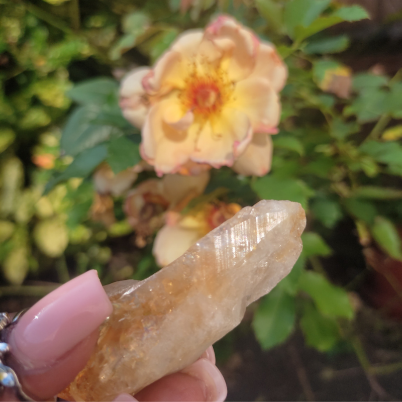 Citrine Points