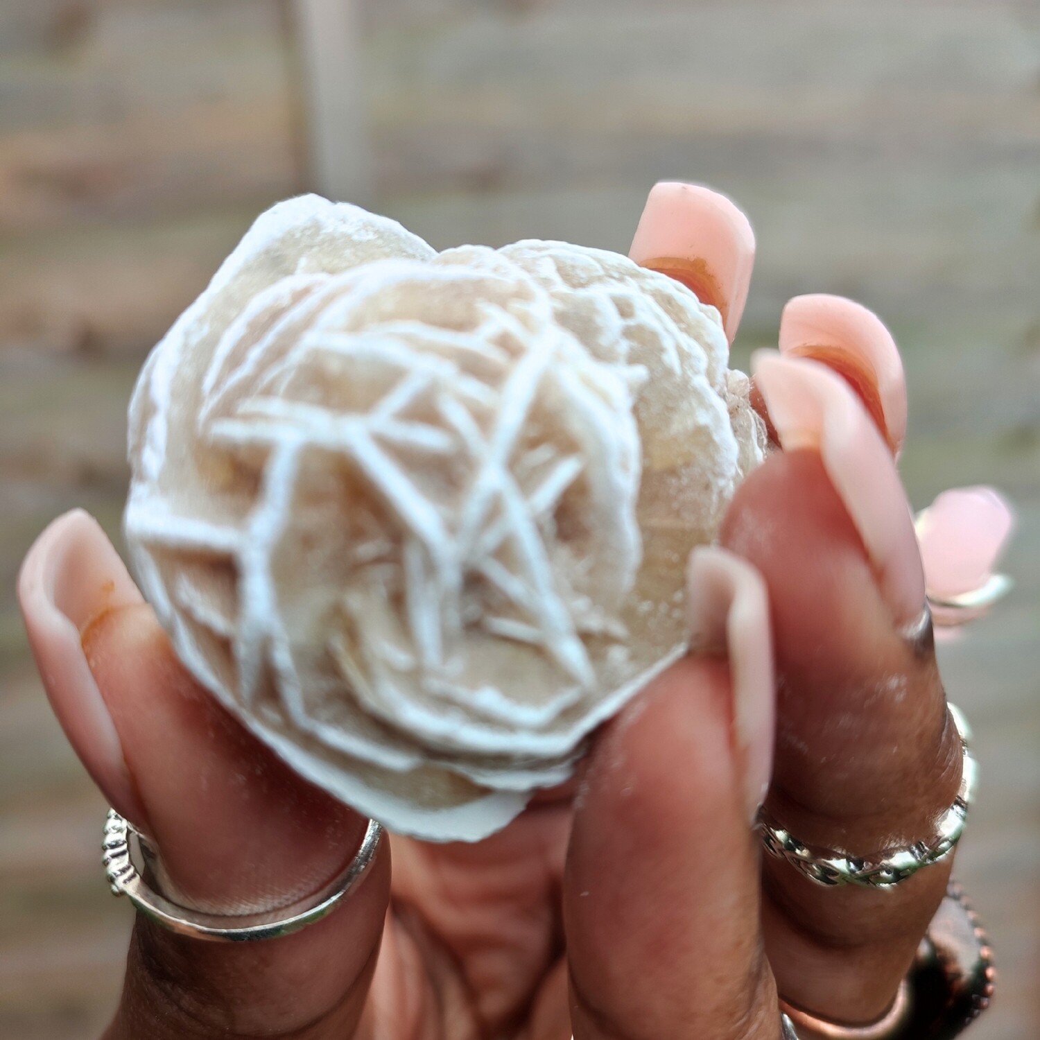 Desert Rose