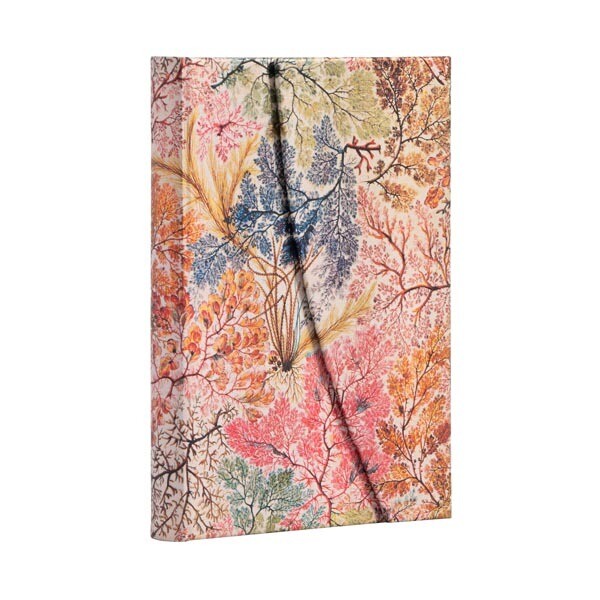 Journal, Lined, Mini Hardcover Anemone - William Kilburn