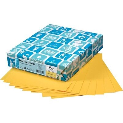 Paper, 20lb, Letter Goldenrod, 500 Pack, Earthchoice
