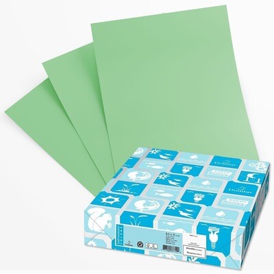 Paper, 20lb, Legal Green, 500 Pack, Earthchoice