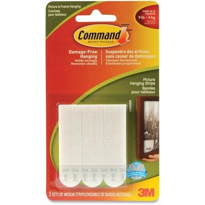 Hook, Picture Hanger 3 Pack, Command Strip