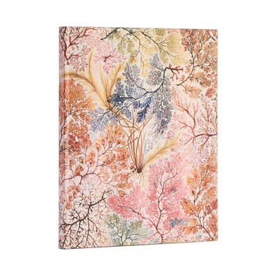 Planner, Weekly, Softcover Anemone, Ultra, Vertical
