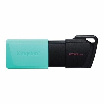 Usb Flash Drive, 256GB Kingston, Black & Green