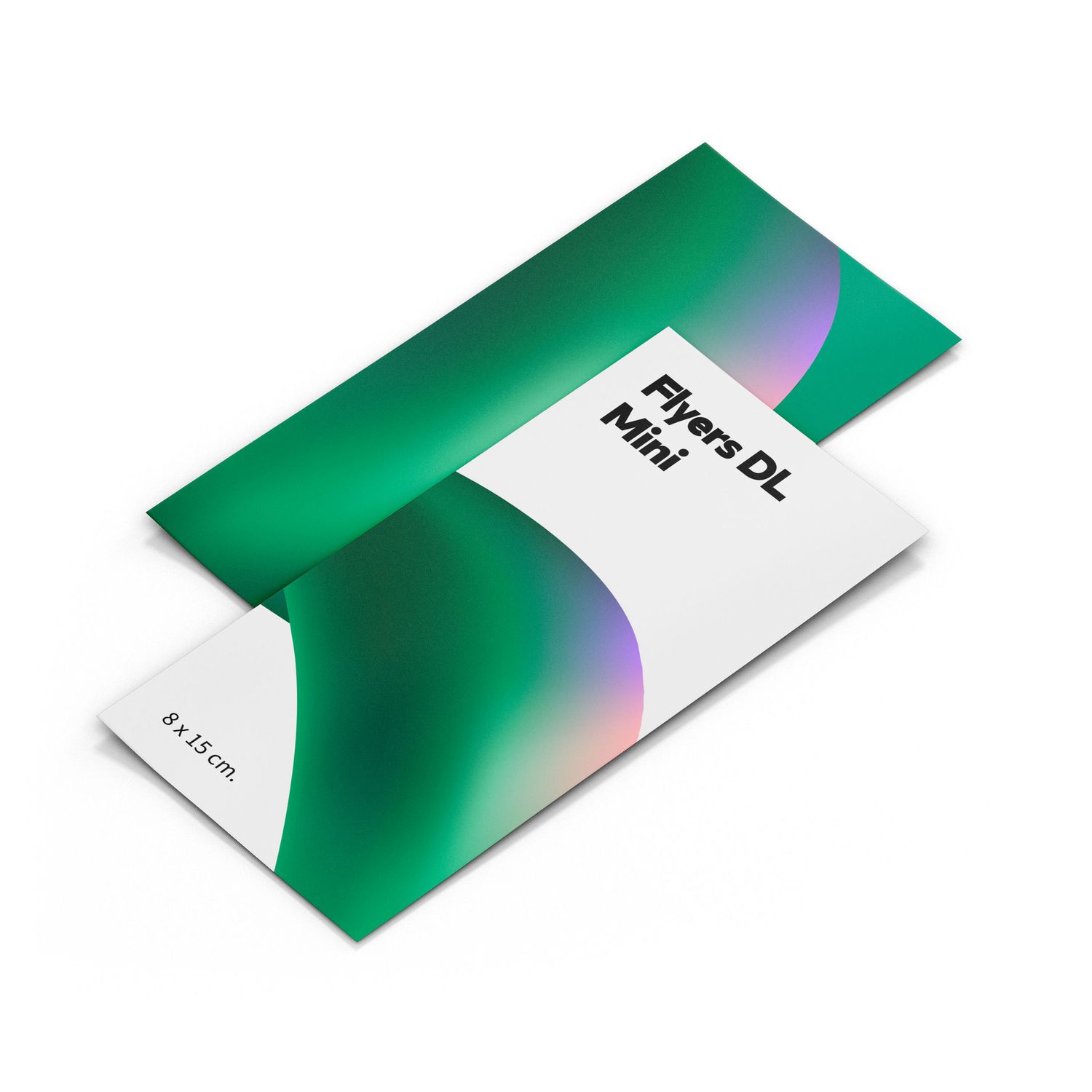 Flyers DL Mini