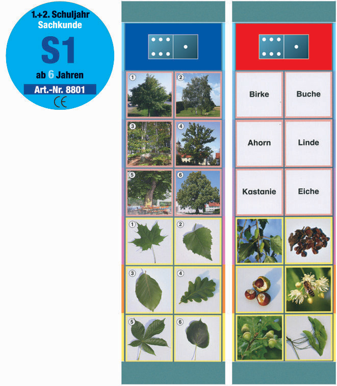FLOCARDS - Set S1 Sachkunde: Pflanzen FLOCARDS - Set S1 Sachkunde: Pflanzen