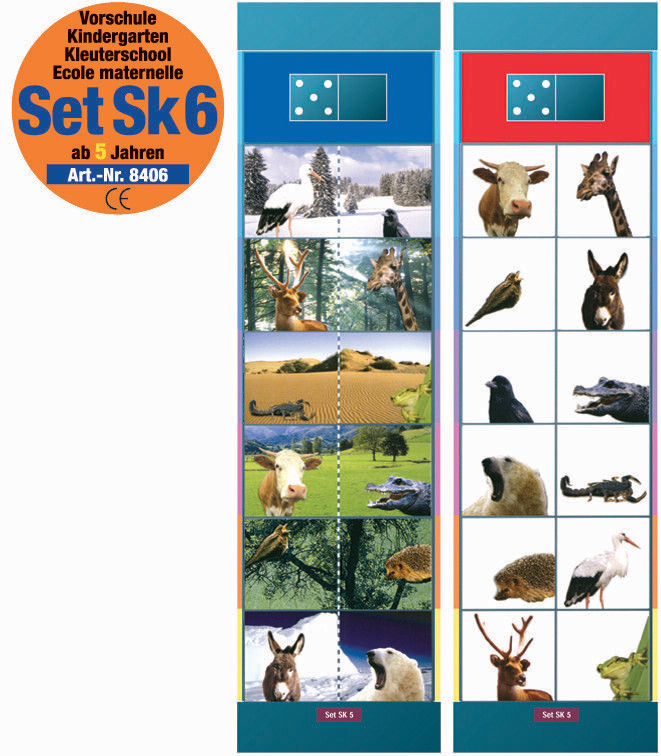 FLOCARDS - Set SK6 Verständnis