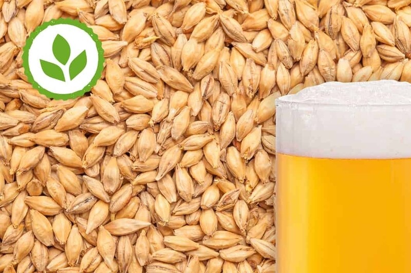 Crisp Pilsner / Lager Malt - 1kg