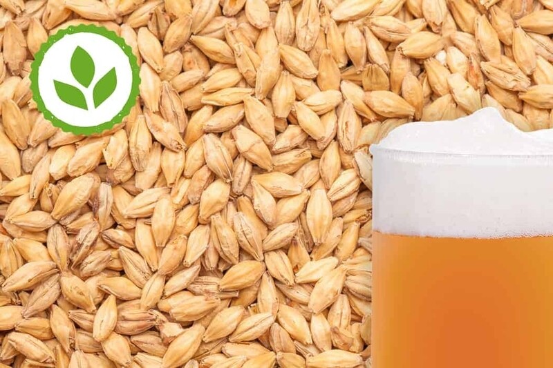 Best Vienna Malt