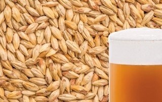 Best Biscuit Malt